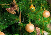 Alberi di natale 55 0 Alberi di natale_ok